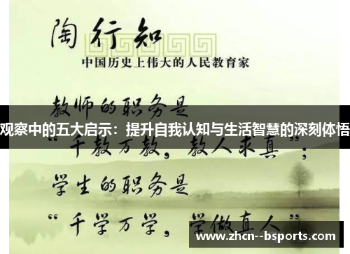 观察中的五大启示：提升自我认知与生活智慧的深刻体悟